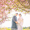 桜ロケーションの季節に撮影した和装前撮りフォトウェディングの写真。