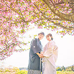 桜ロケーションの季節に撮影した和装前撮りフォトウェディングの写真。
