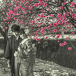 桜の季節に和装前撮りフォトウェディングを撮影しました。群馬県の丹生湖。
