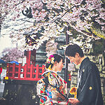 群馬県富岡市貫前神社で、桜のロケーションで和装前撮りフォトウェディングを撮影した写真