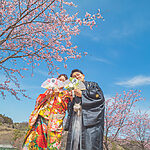 前撮り和装フォトウェディングを桜のロケーションで撮影しました。