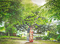 群馬県富岡市の貫前神社で、フォトウェディングのロケーション前撮り撮影をした和装写真