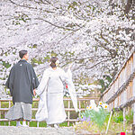 群馬で桜のフォトウェディングを撮影 和装フォトウェディング。白無垢・色打掛でのロケーション撮影
